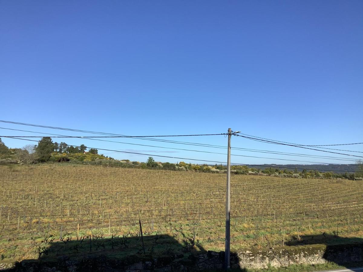 アギアル・ダ・ベイラ Casa De Ferias Santosヴィラ エクステリア 写真